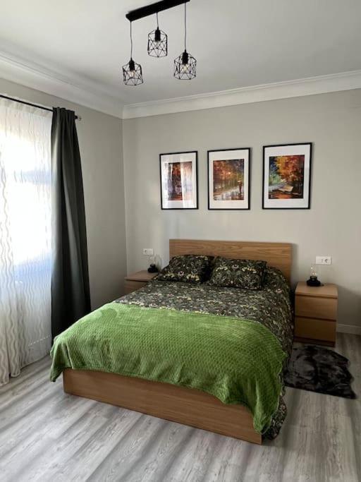 Apartamento Turistico Plaza I มงฟอร์เต เด เลมอส ภายนอก รูปภาพ